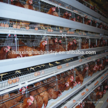 high quality 120 chicken cage price